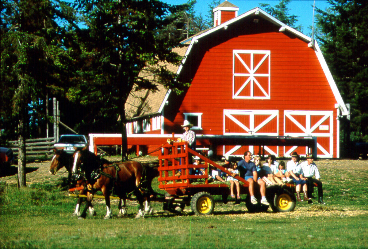 Spruce Hill Resort & Spa 108 Mile Ranch Exterior photo